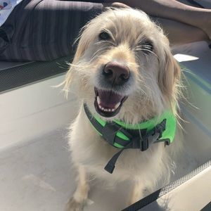 Meet your Posher, Kiki